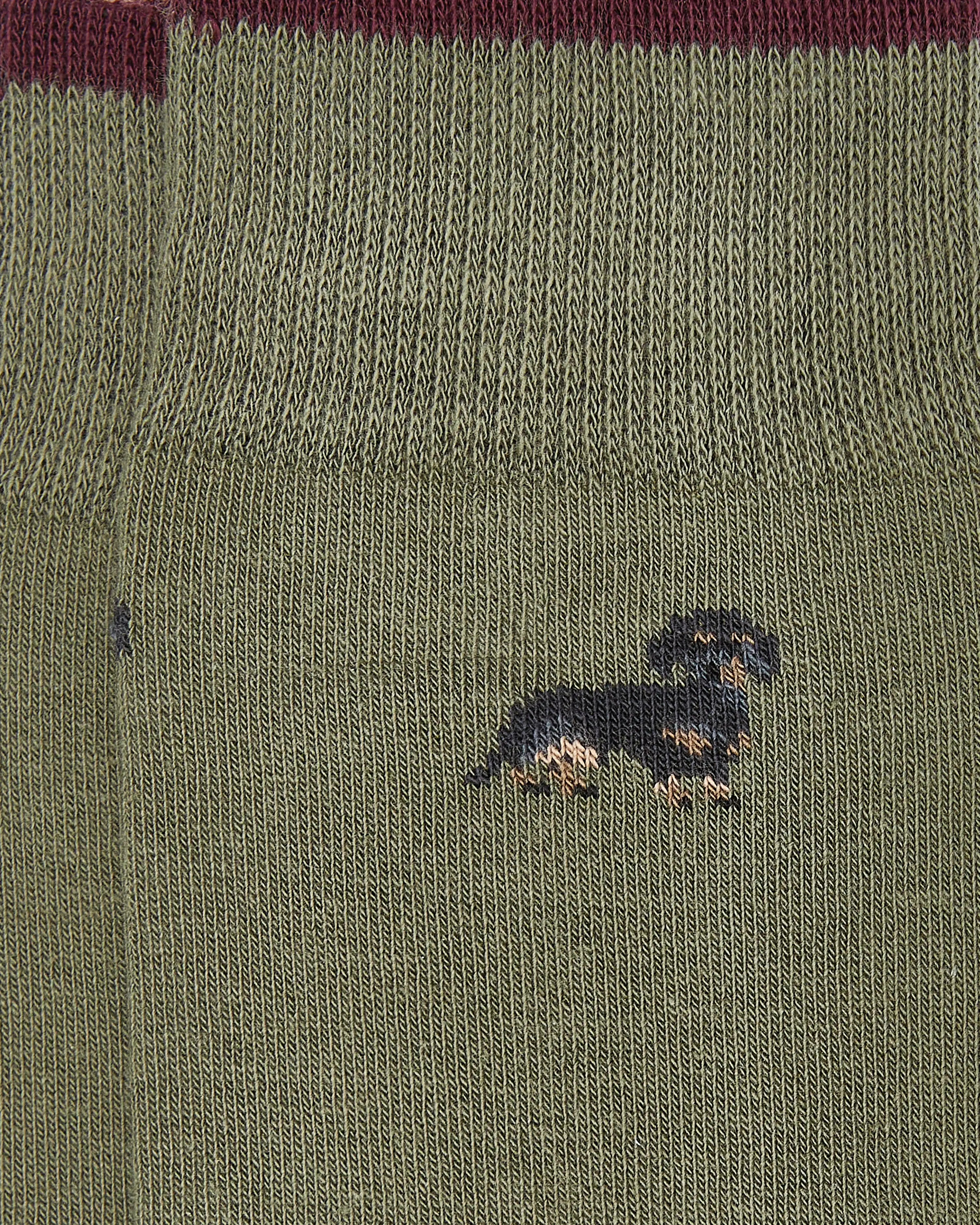 Calcetines media caña de hombre Kiff Kiff estampado teckel verde