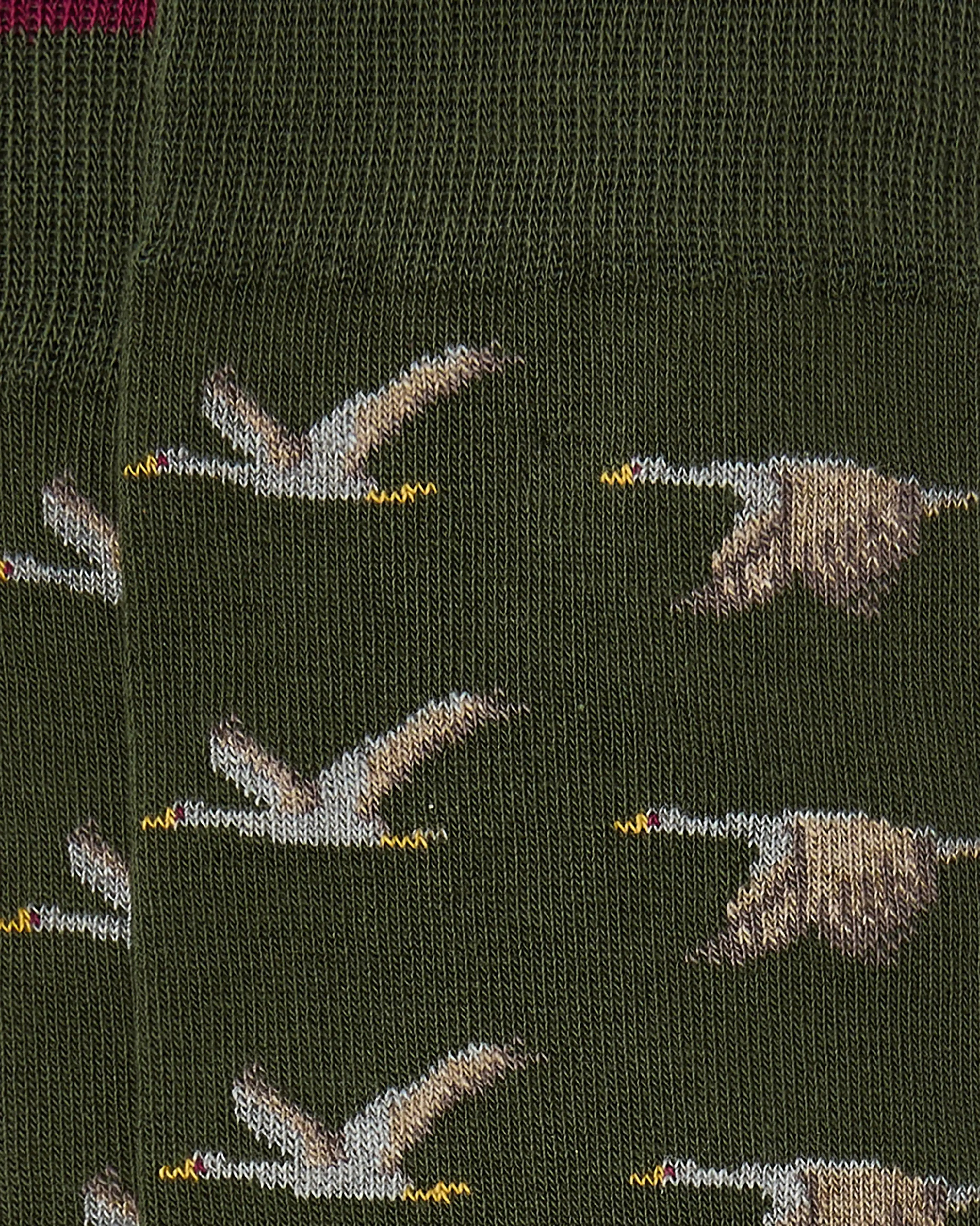 Calcetines media caña de hombre Kiff Kiff estampado aves verde