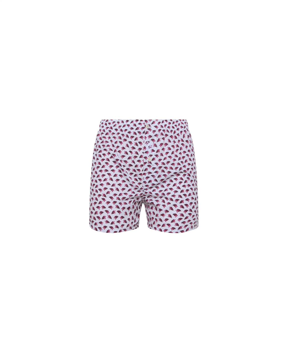 Bóxer de niño Kiff Kiff de algodón blanco con estampado de tortuga