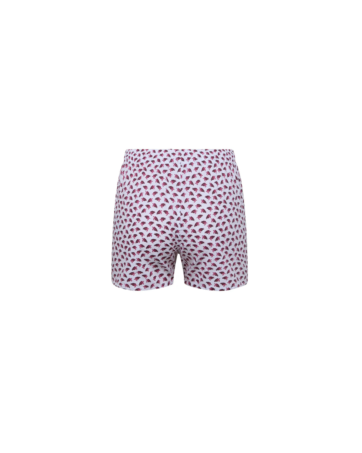 Bóxer de niño Kiff Kiff de algodón blanco con estampado de tortuga