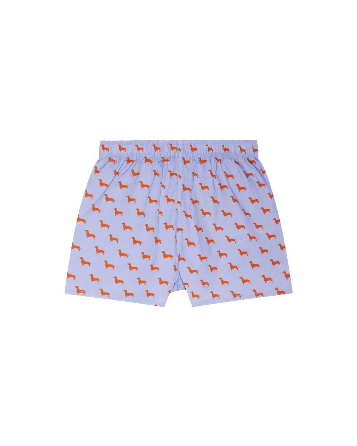 Bóxer de niño Kiff Kiff de algodón azul con estampado de PERRO