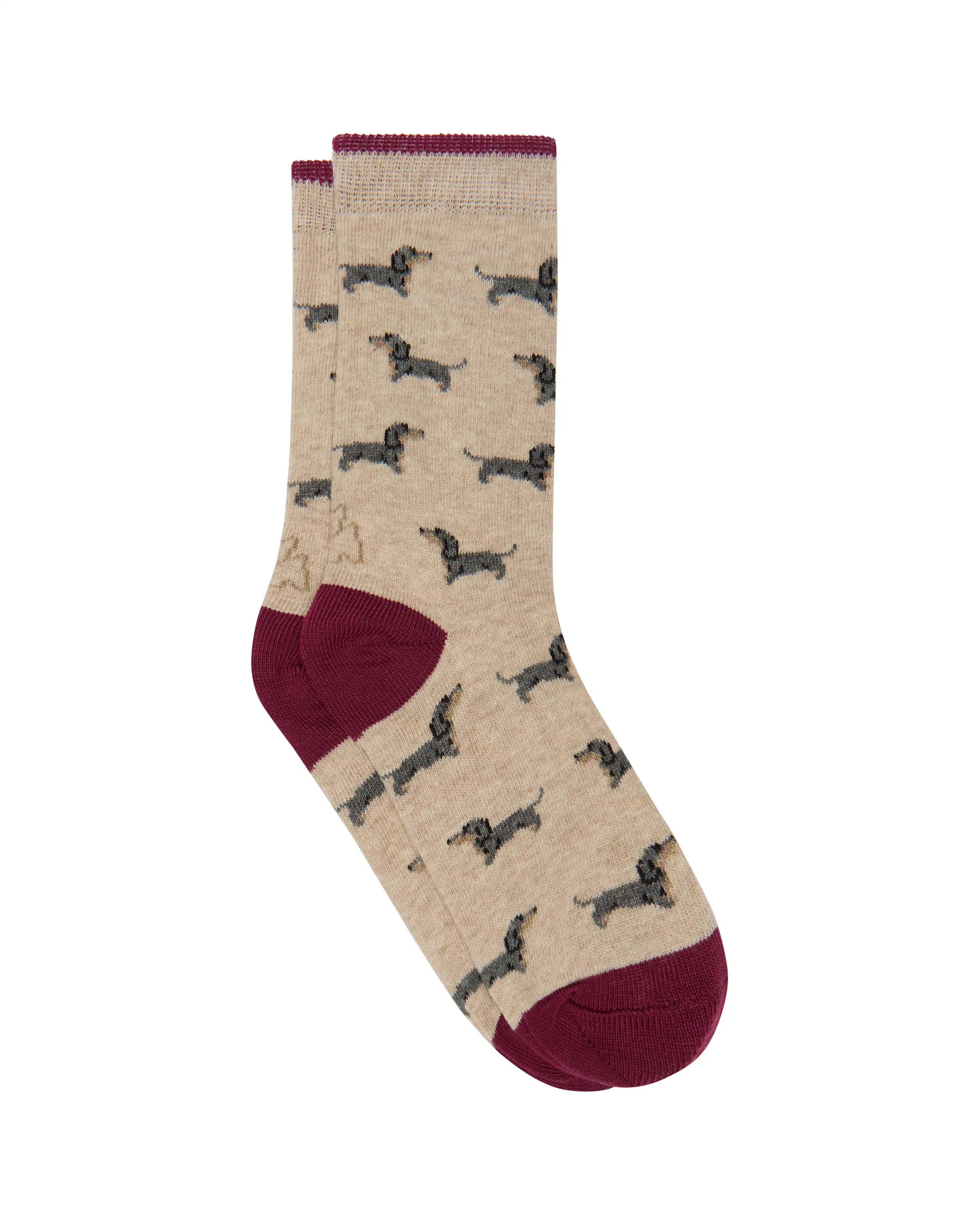Calcetines media caña de niño Kiff Kiff beige estampado perro