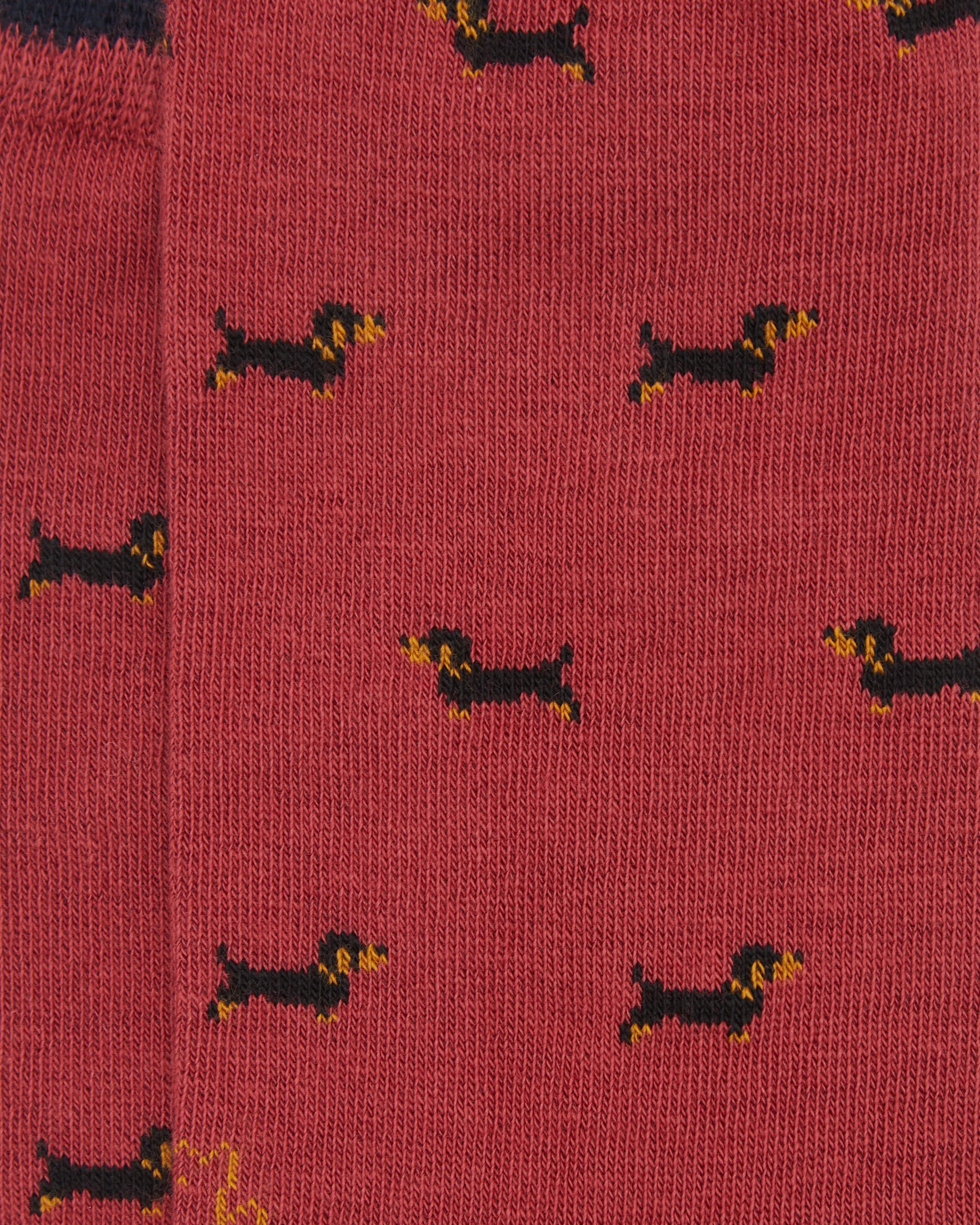 Calcetines media caña de mujer Kiff Kiff estampado mini teckel fresa