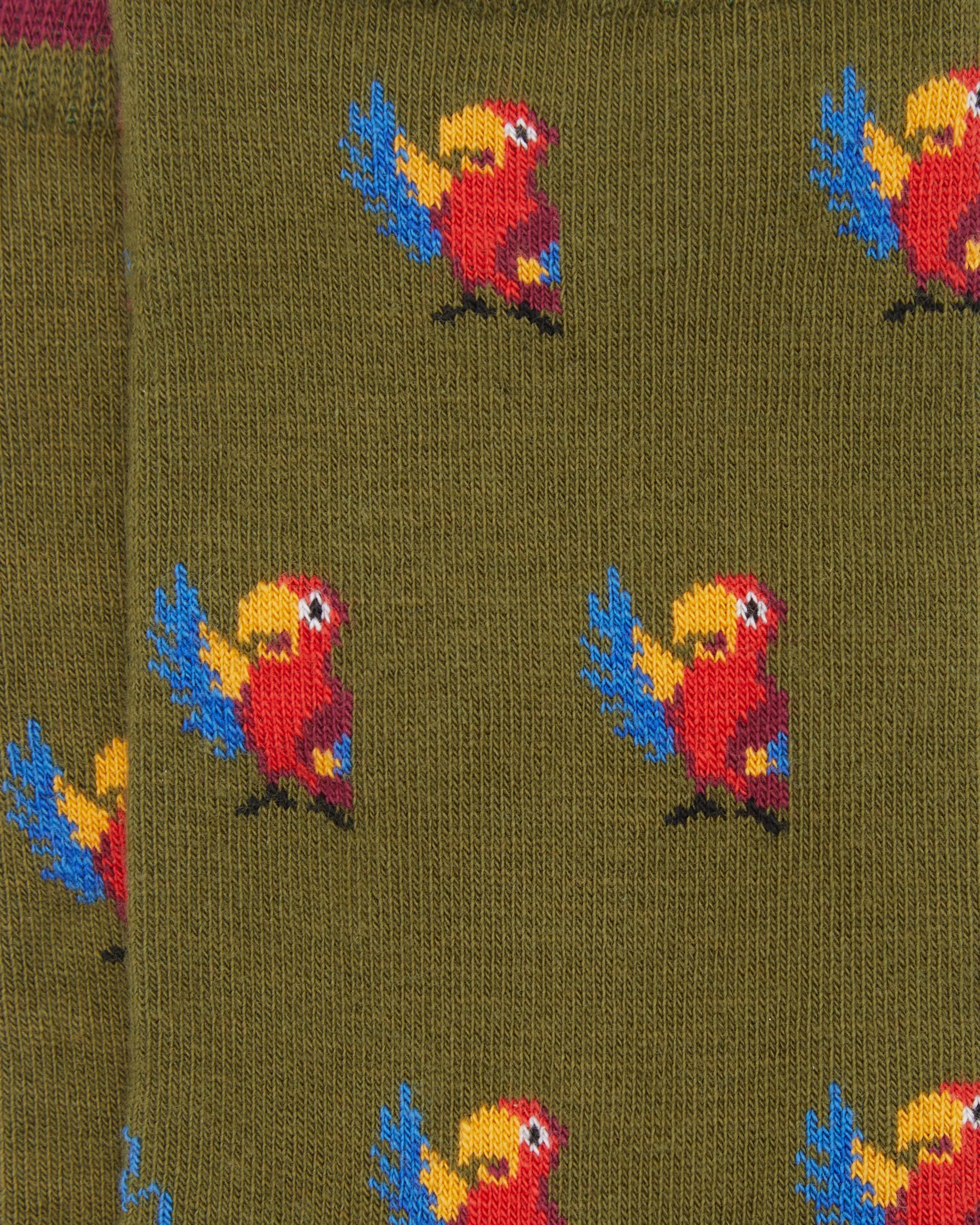 Calcetines media caña de mujer Kiff Kiff estampado loro verde musgo