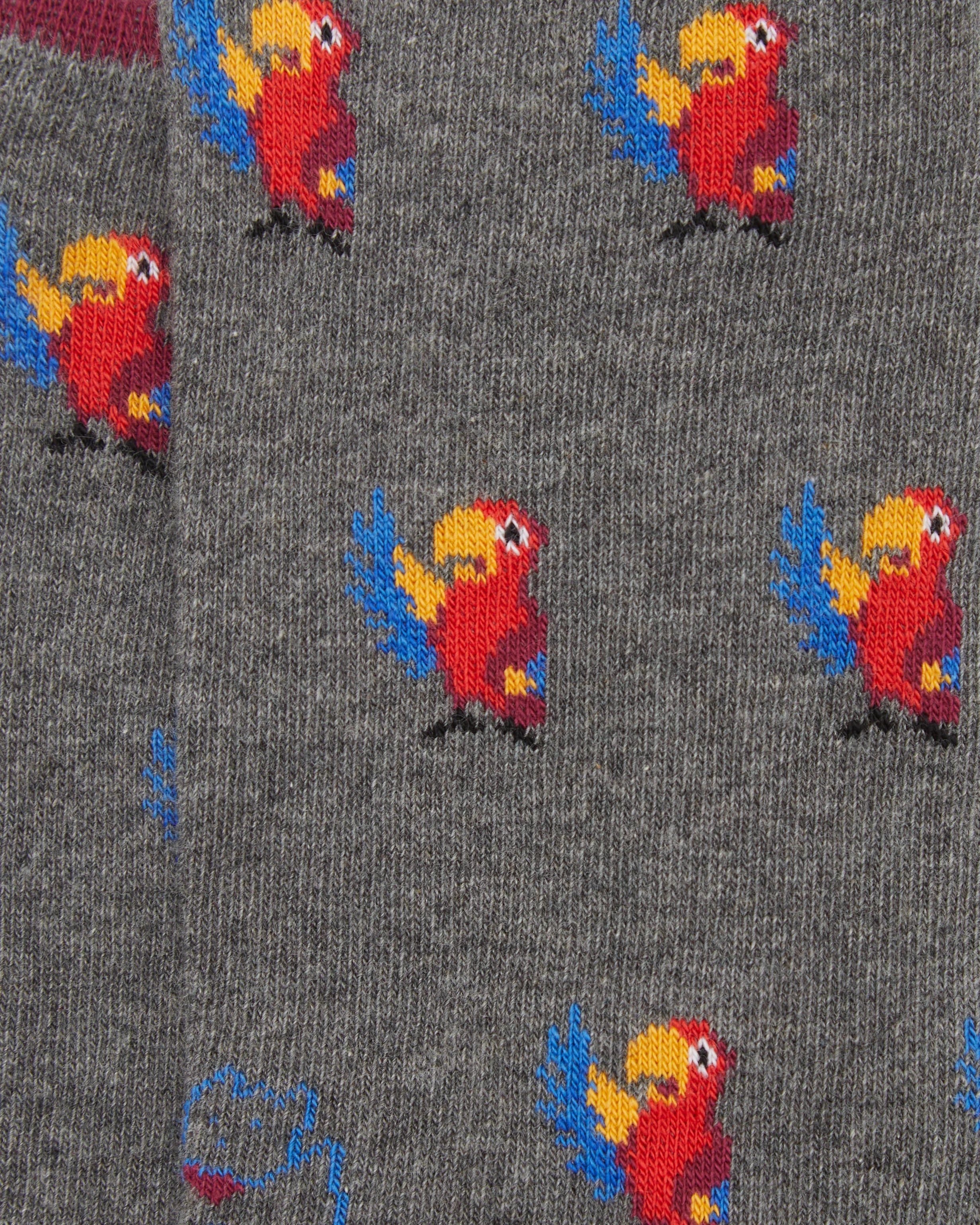 Calcetines media caña de mujer Kiff Kiff estampado loro gris claro