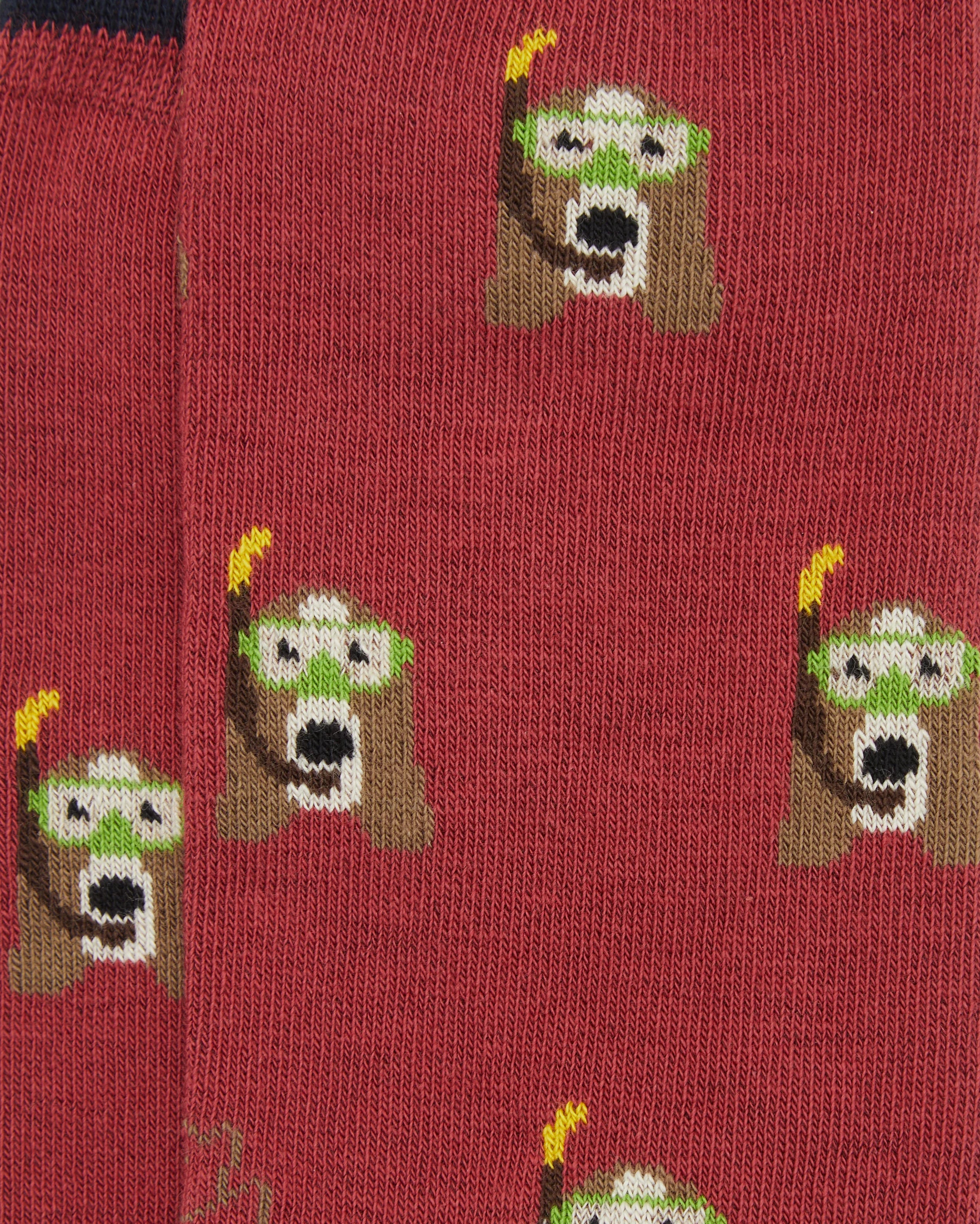 Calcetines media caña de mujer Kiff Kiff estampado perro buceador fresa