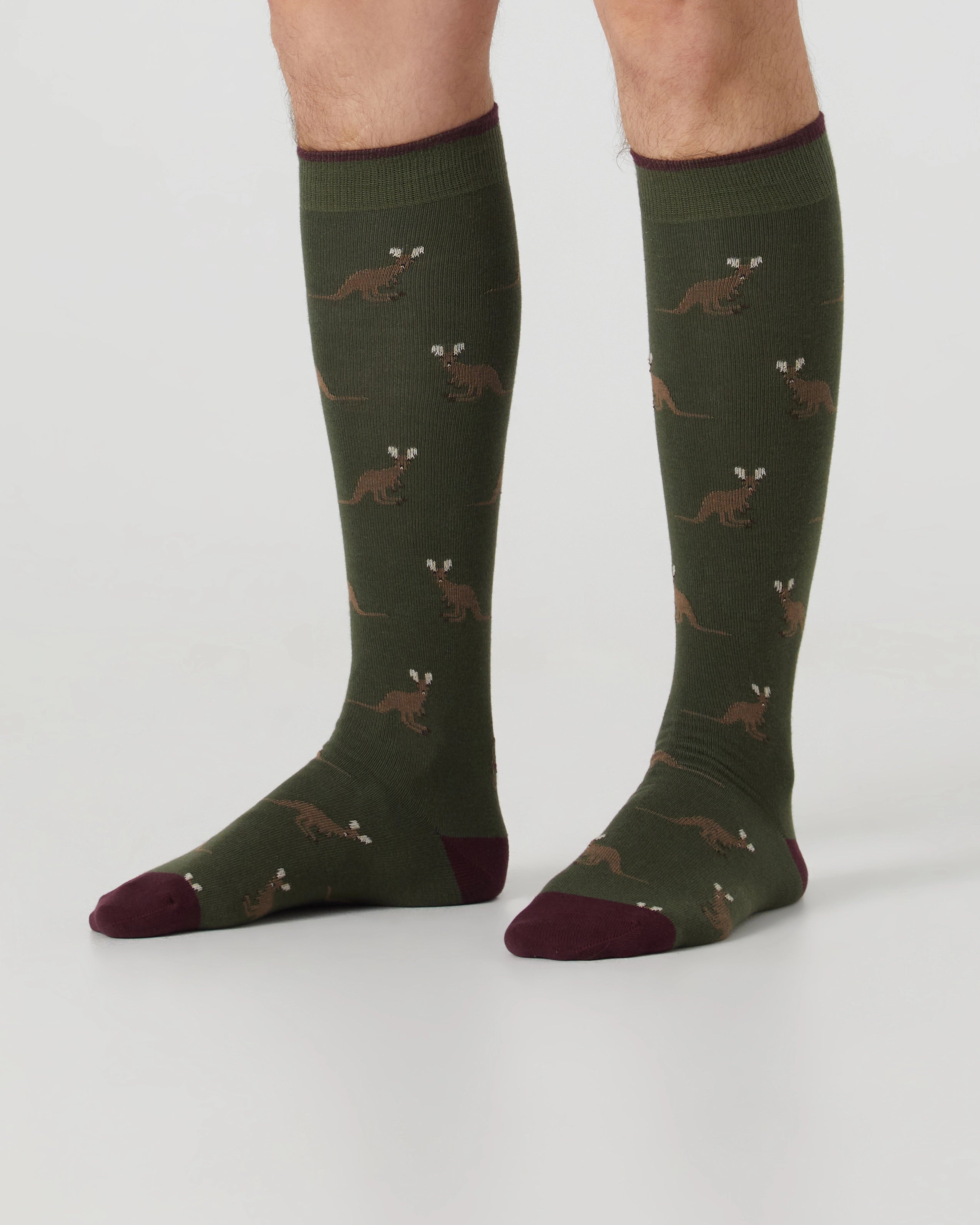 Calcetines caña alta de hombre Kiff Kiff estampado canguro verde