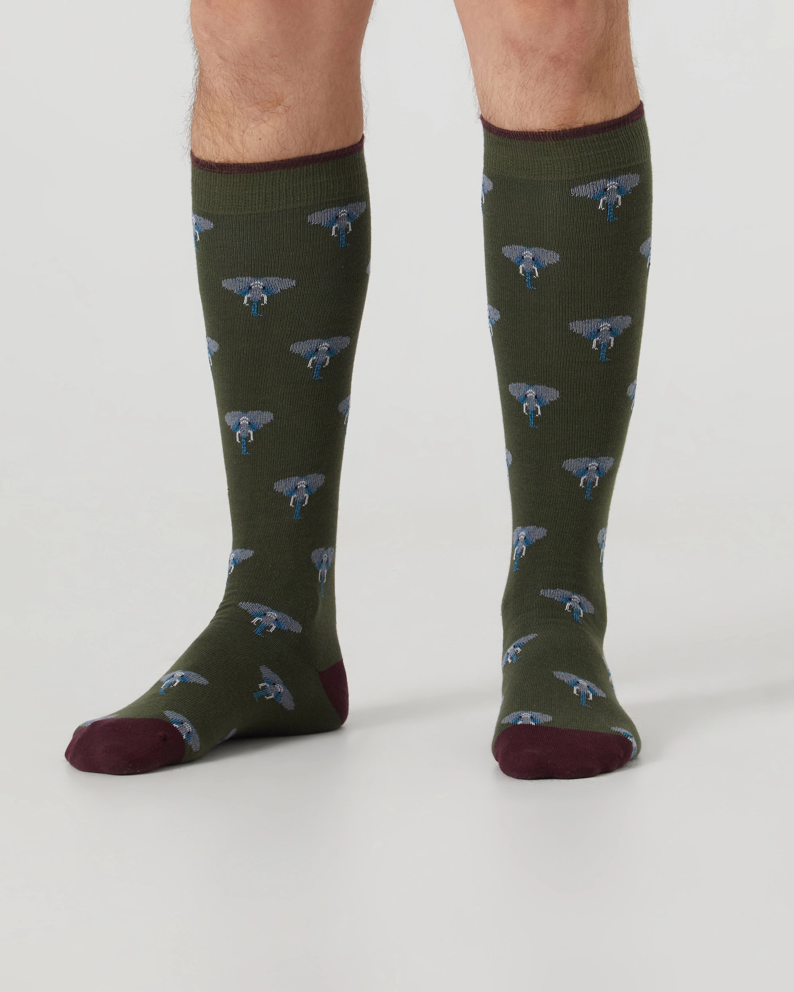 Calcetines caña alta de hombre Kiff Kiff estampado elefantes verde