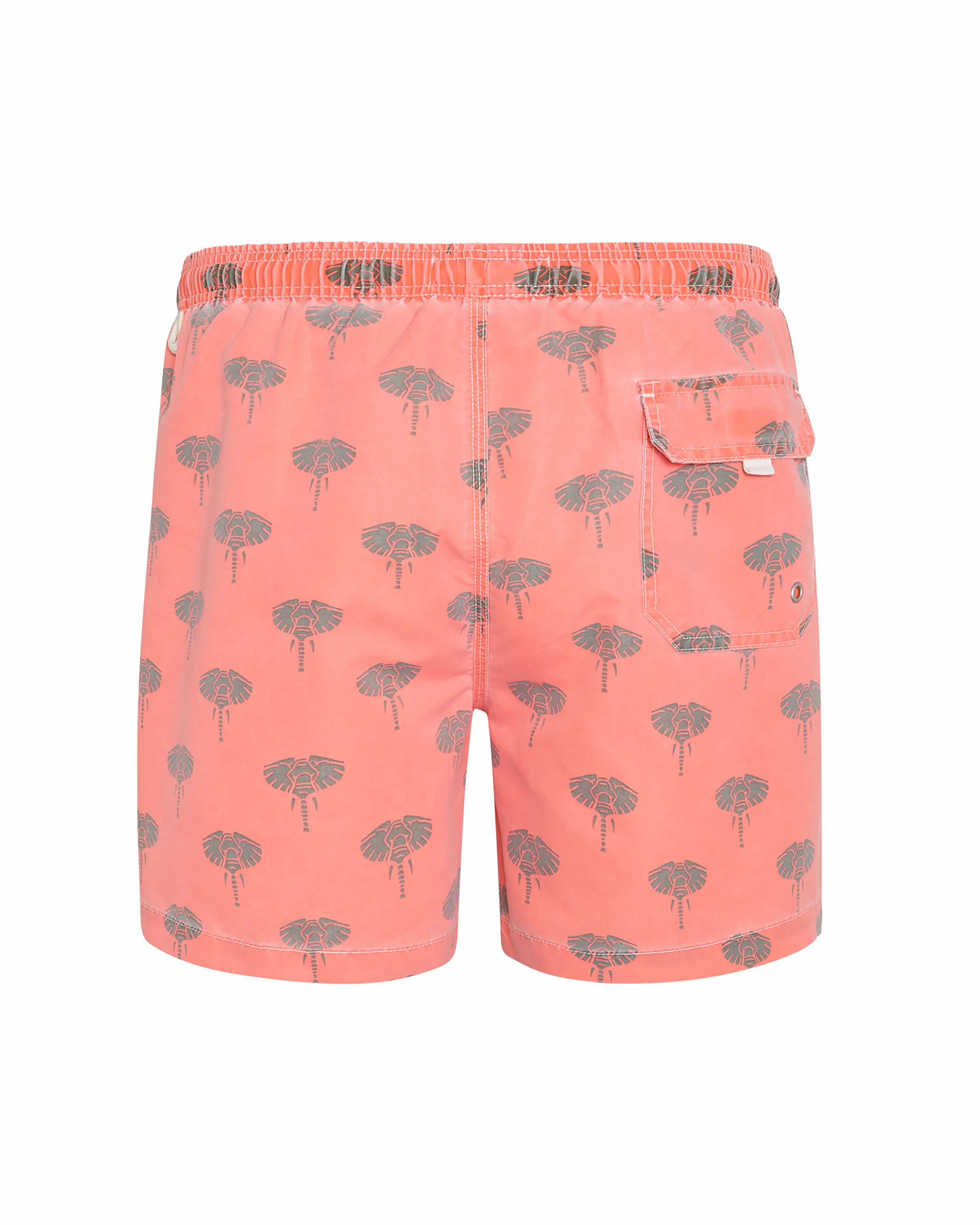Bañador bermuda hombre Kiff Kiff naranja lavado estampado Elefantes