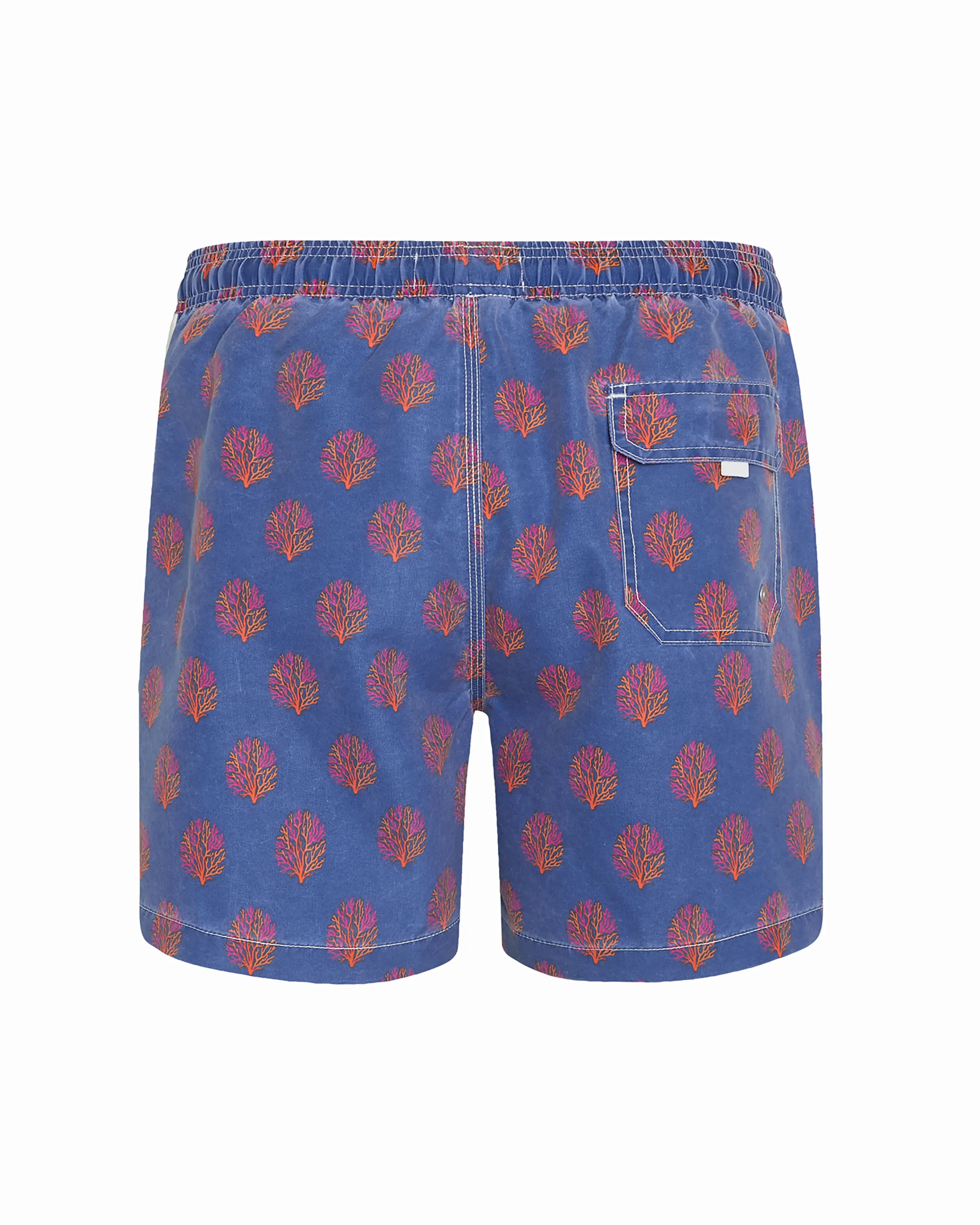 Bañador bermuda hombre Kiff Kiff azul lavado estampado Corales