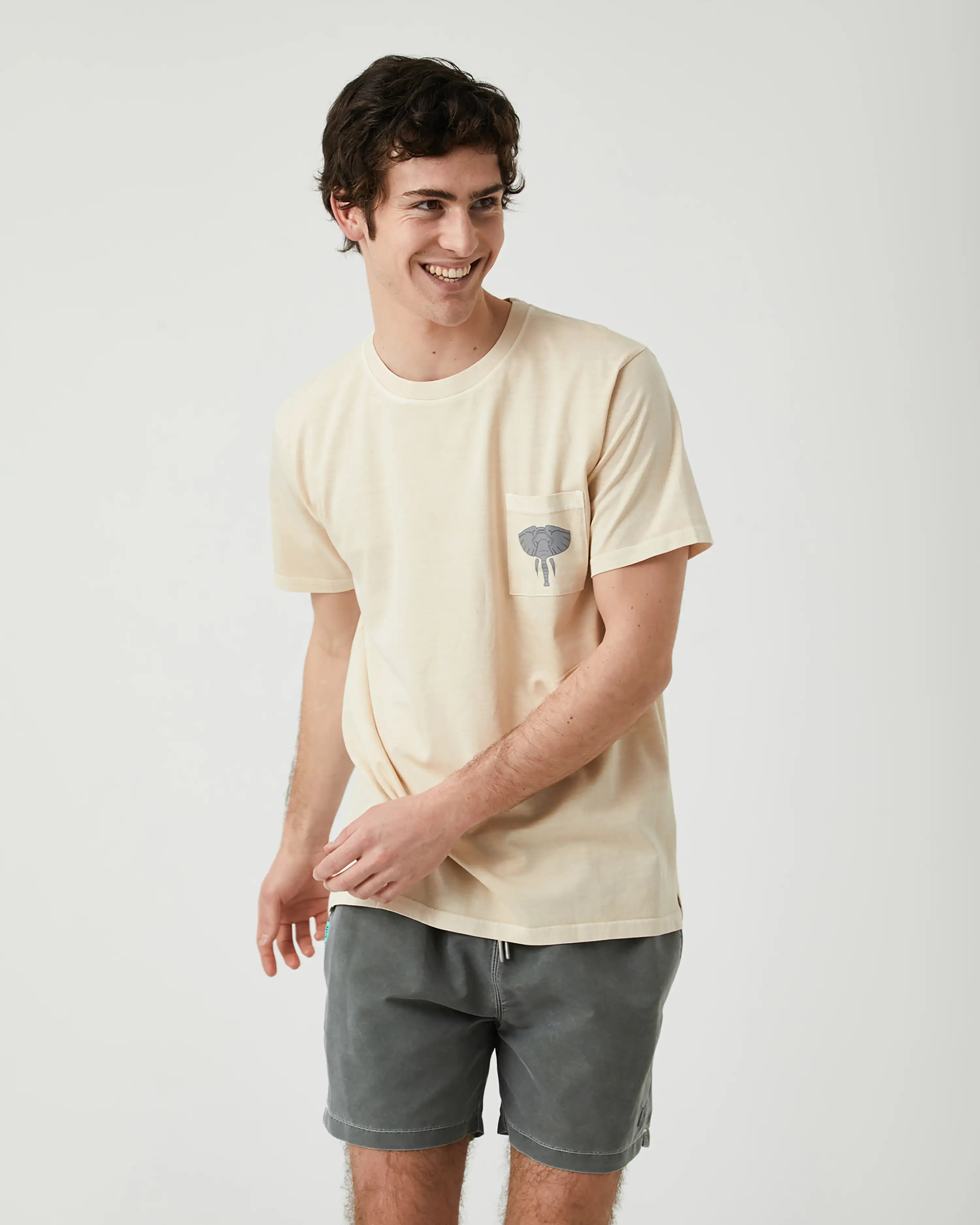 Camiseta de hombre piedra efecto lavado Elefante