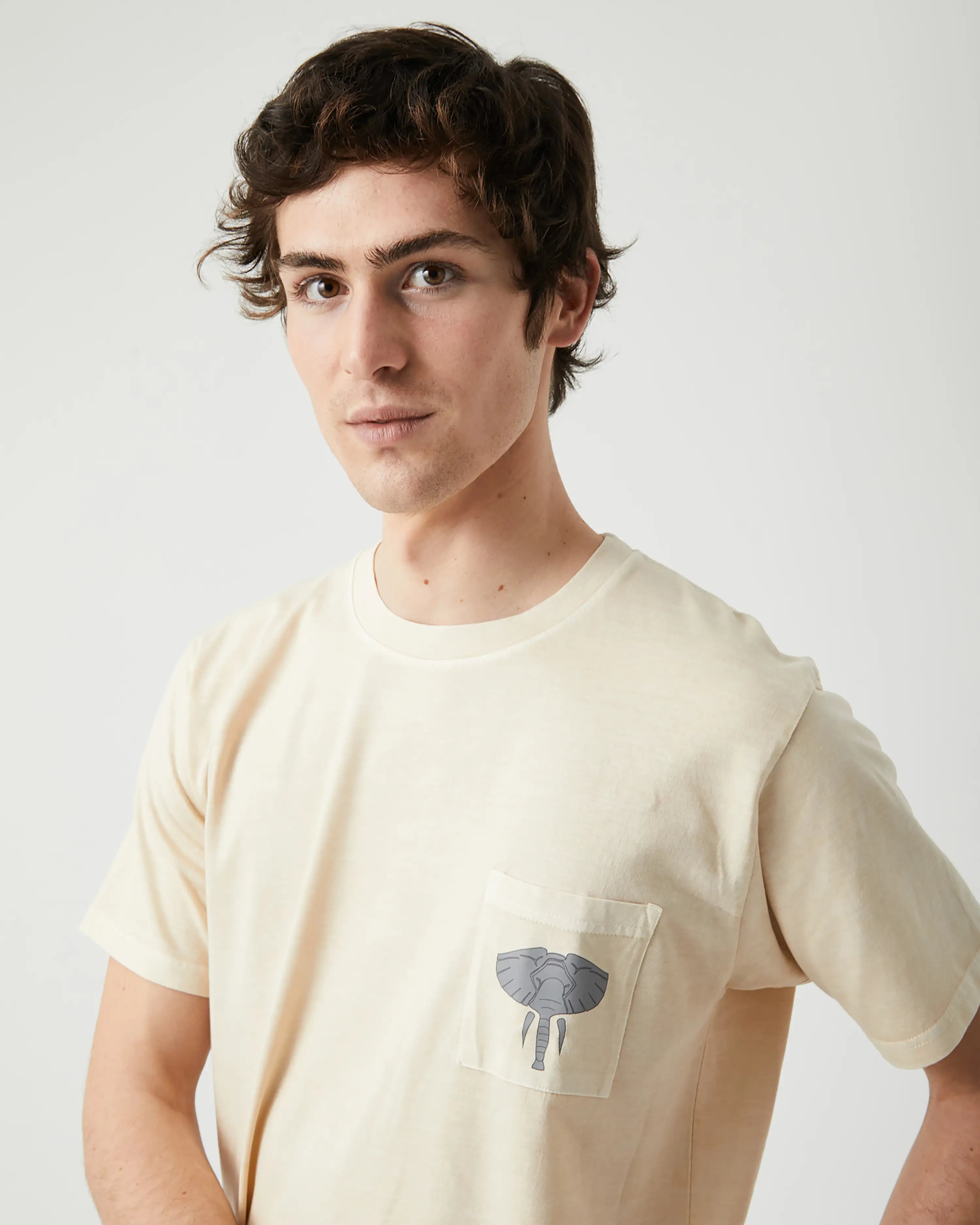 Camiseta de hombre piedra efecto lavado Elefante