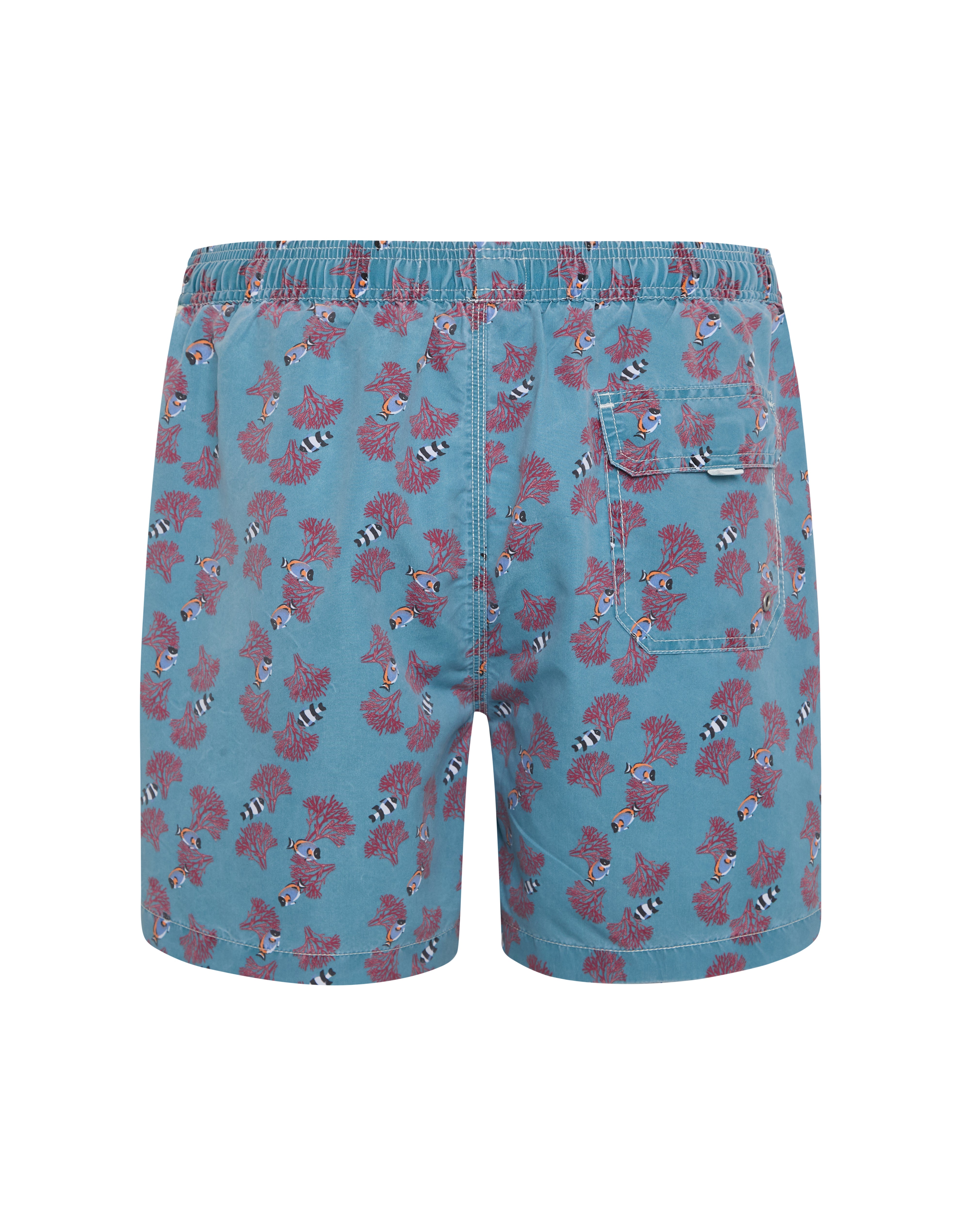 Bañador bermuda hombre Kiff Kiff verde lavado estampado Mundo Marino