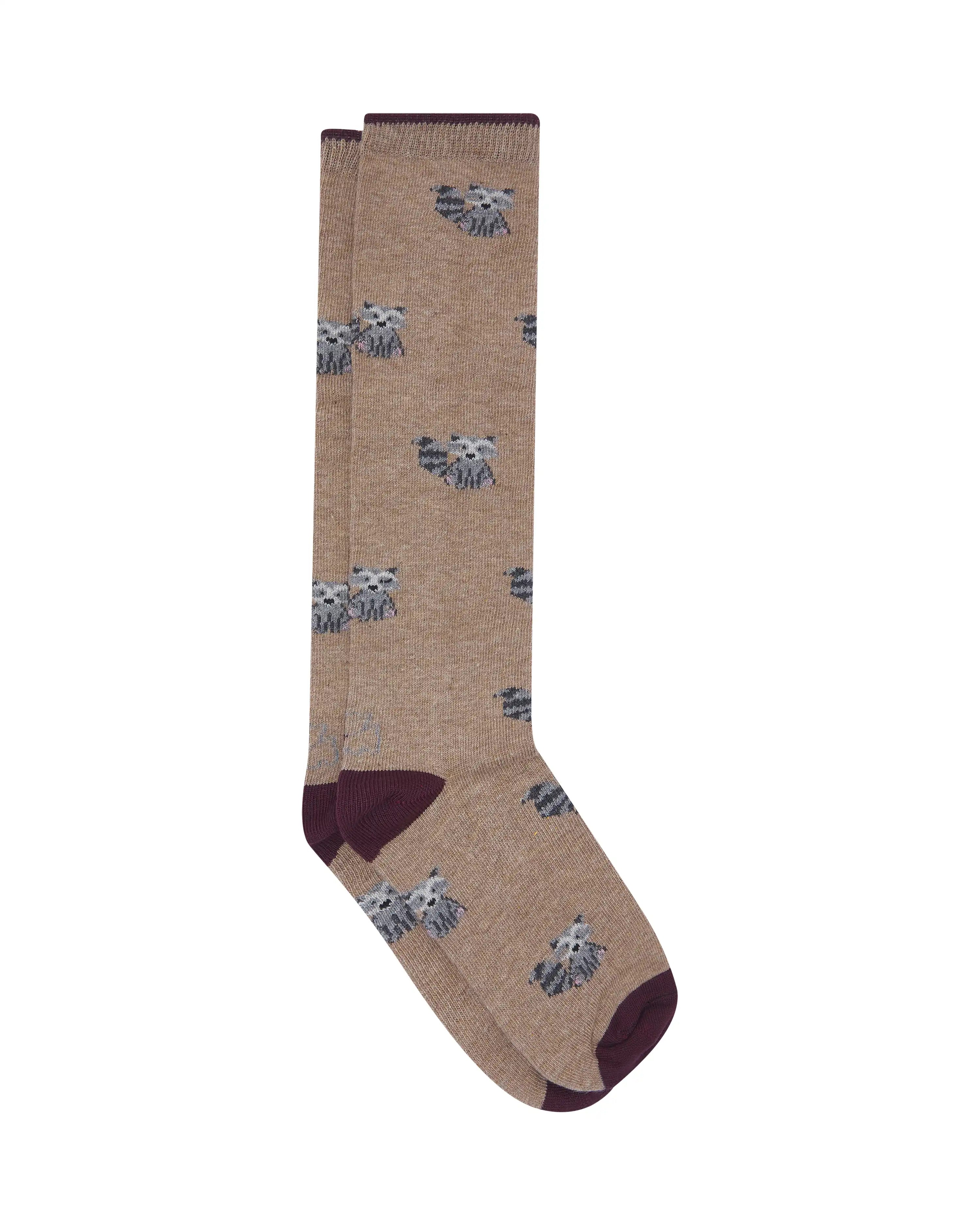Calcetines caña alta de niño Kiff Kiff gris estampado mapache