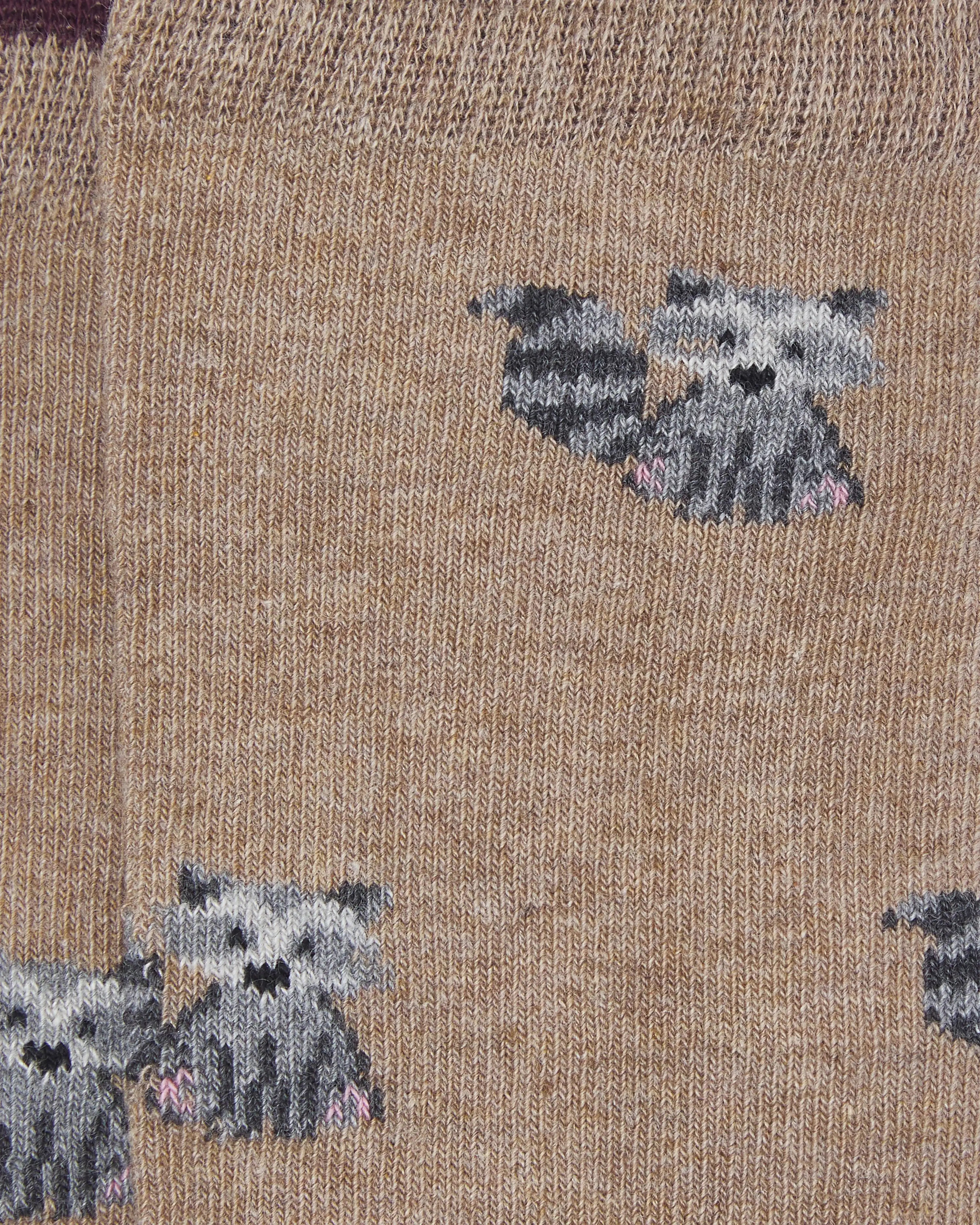 Calcetines caña alta de niño Kiff Kiff gris estampado mapache