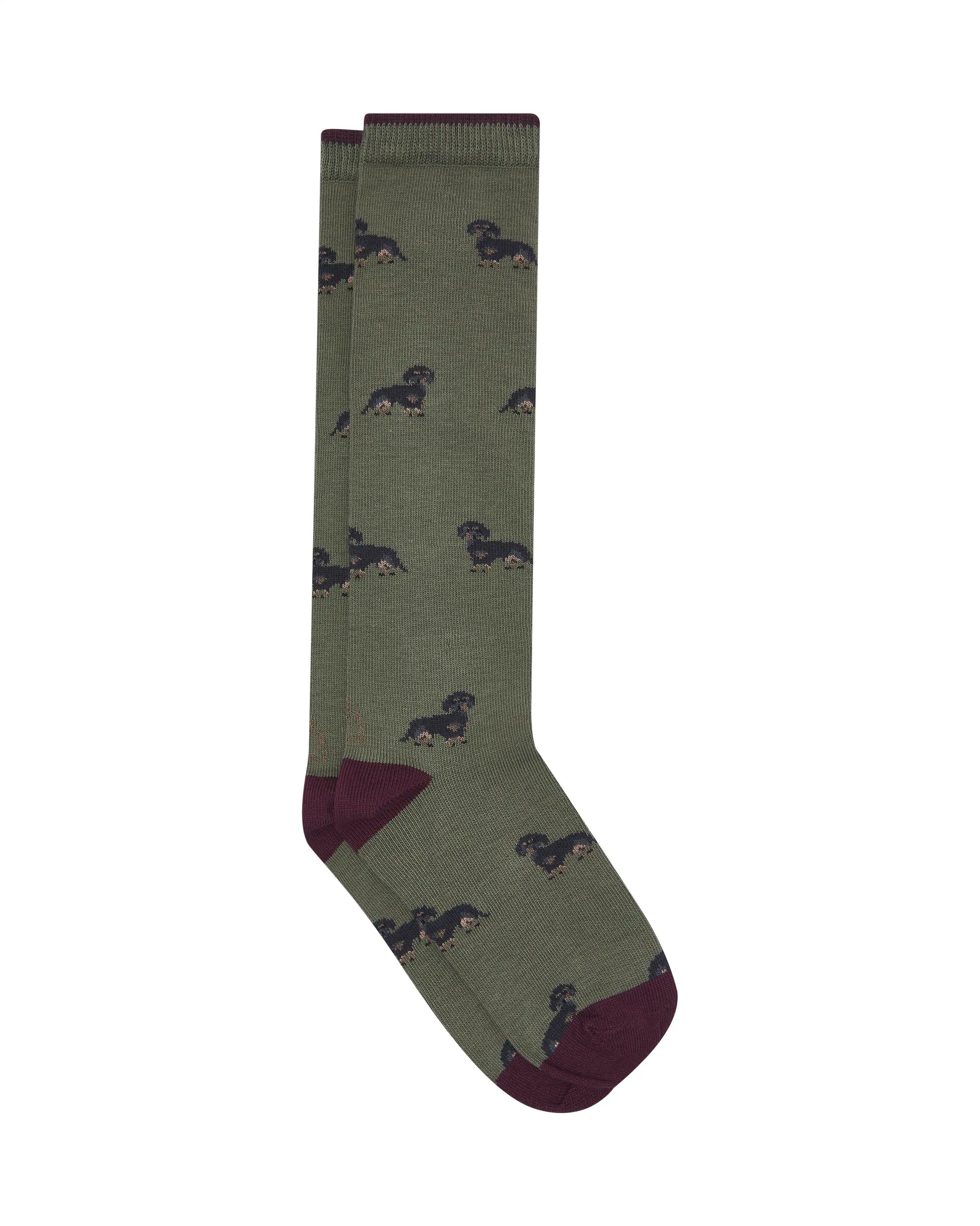 Calcetines caña alta de niño Kiff Kiff verde estampado perro