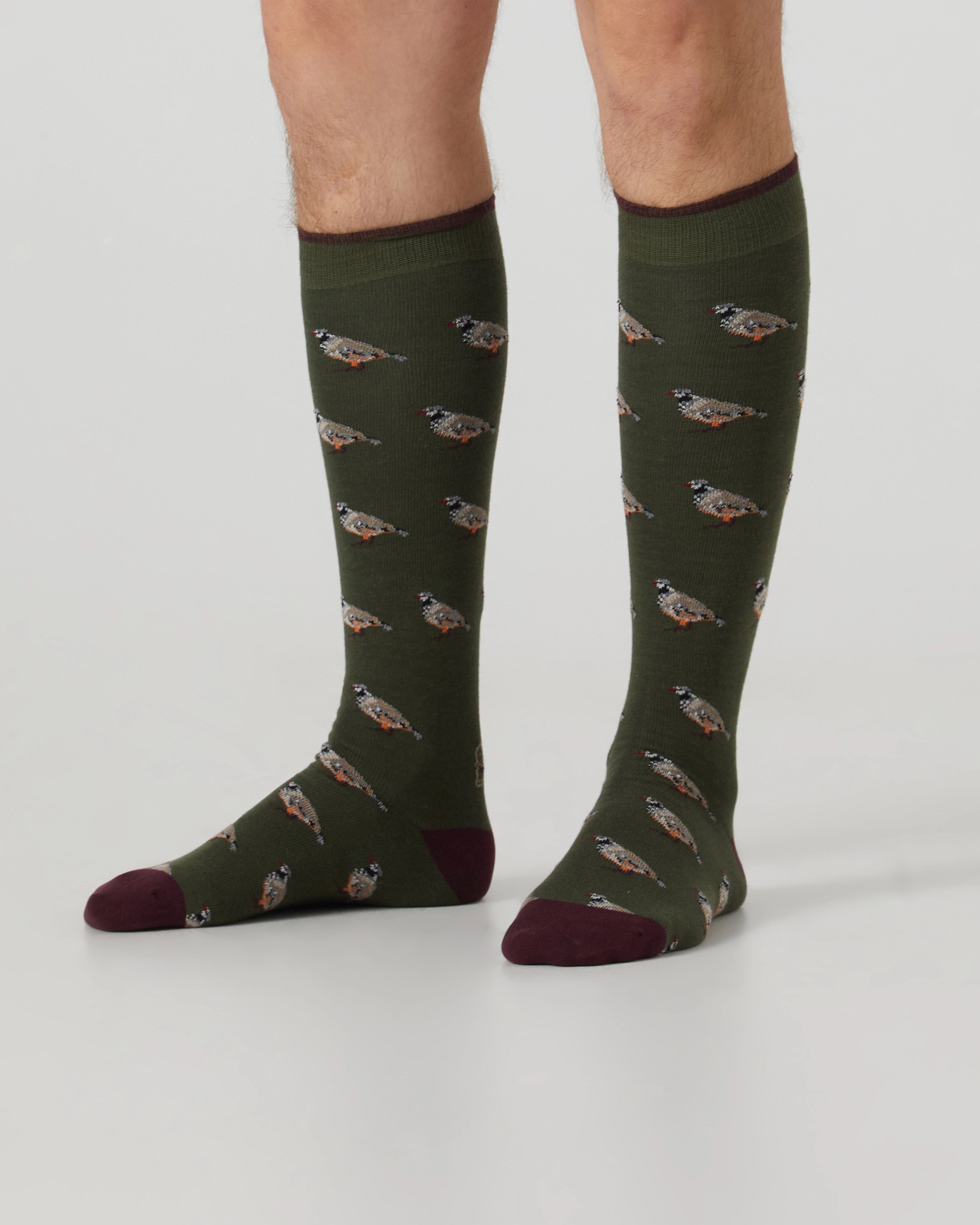 Calcetines caña alta de hombre Kiff Kiff estampado perdiz verde