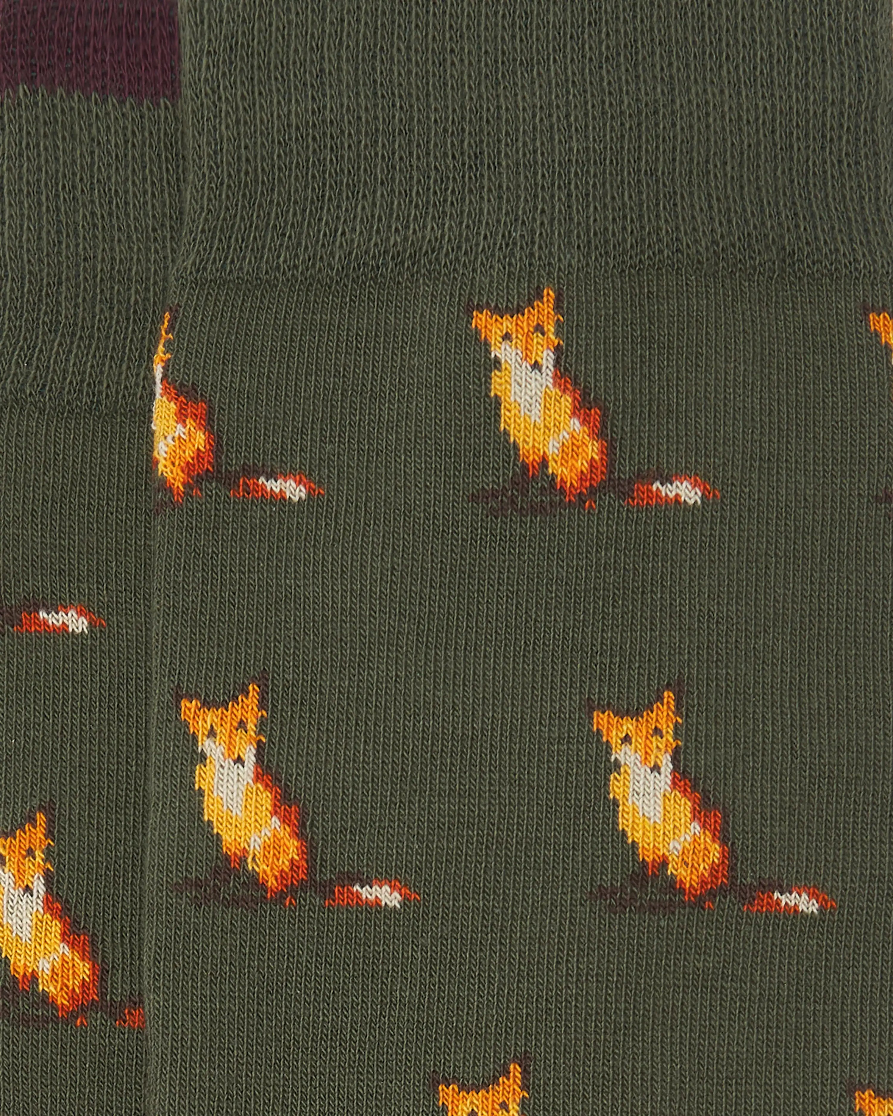 Calcetines caña alta de hombre Kiff Kiff estampado zorro verde