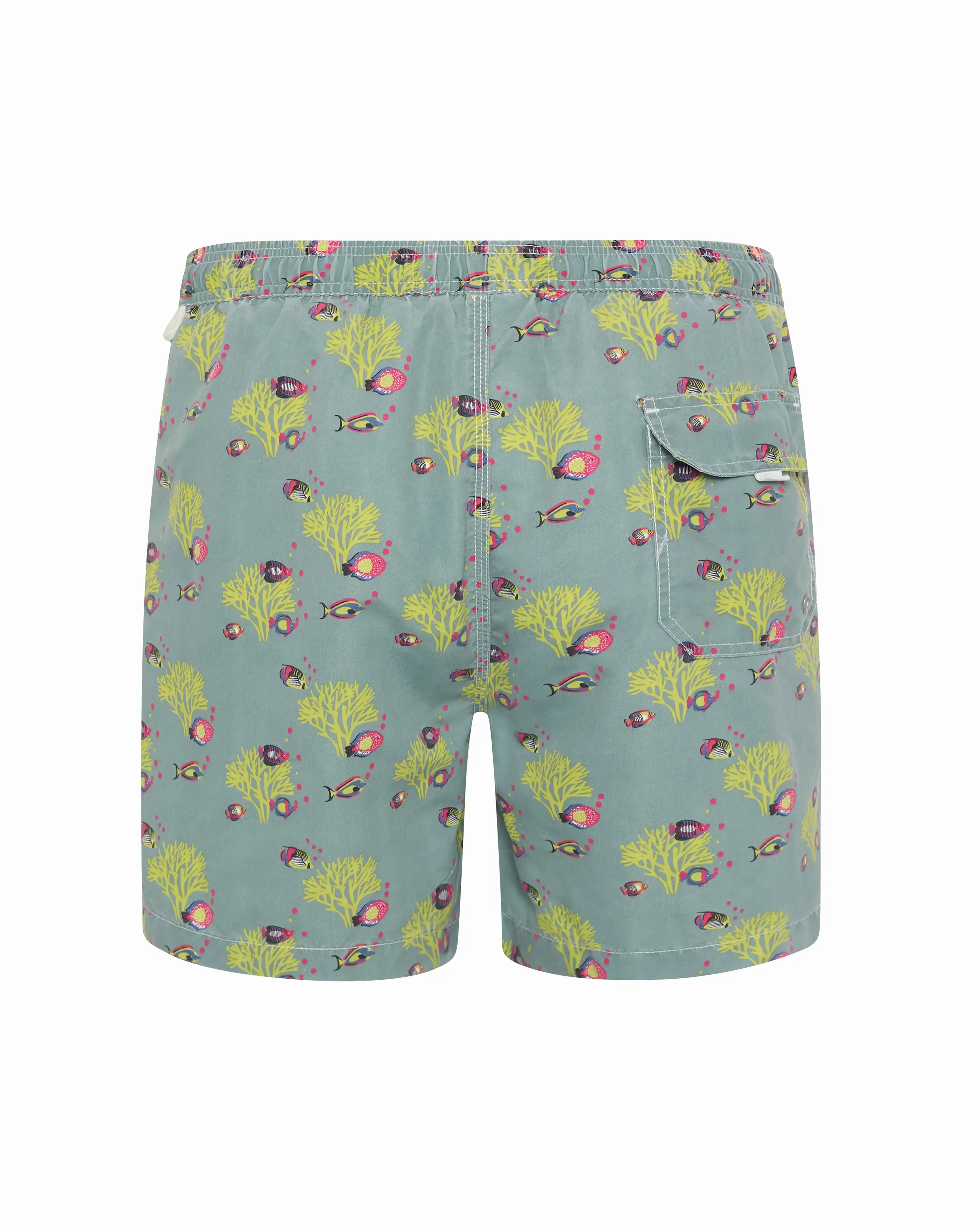 Bañador bermuda hombre Kiff Kiff verde lavado estampado peces